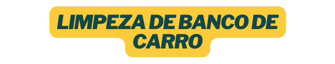 LIMPEZA DE BANCO DE CARRO